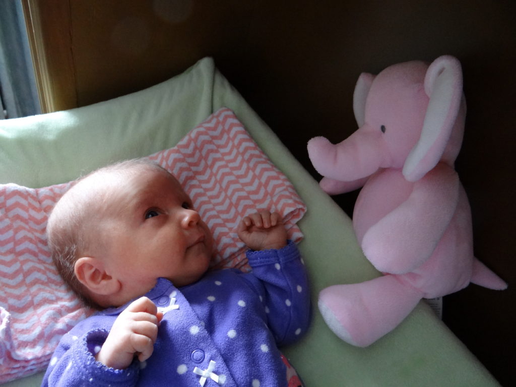baby with a pink elephant plush
