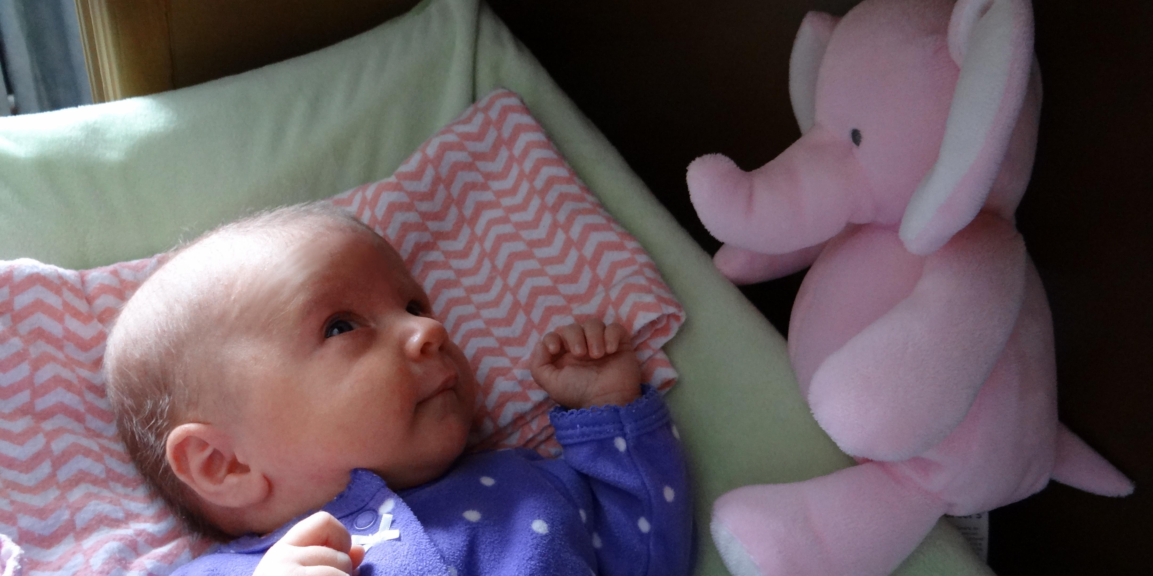 Baby with a Pink Elephant Plush by Carter's