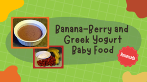 Banana Strawberry Blueberry and Greek Yogurt Baby Food Recipe