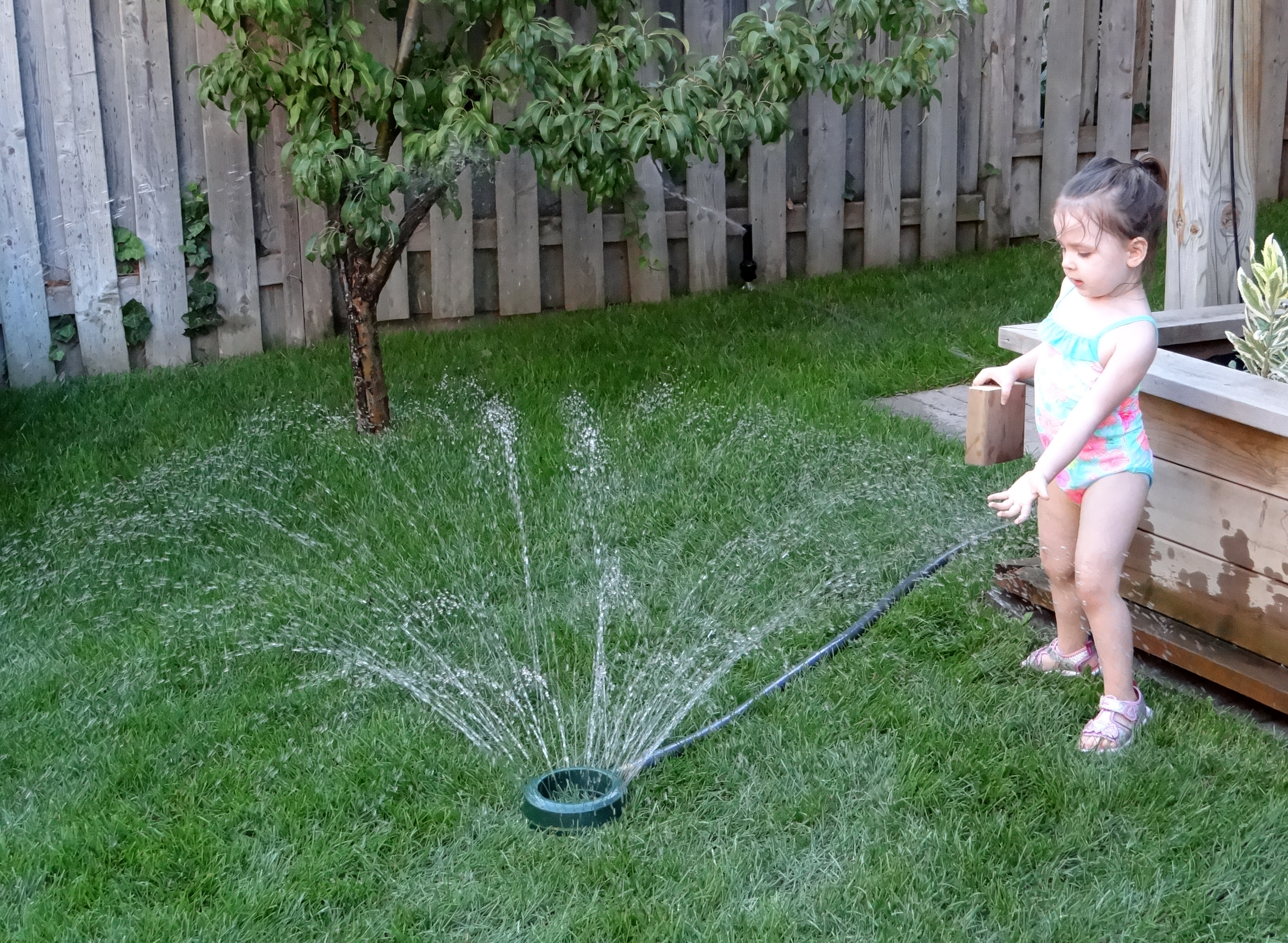 Toddler playing with a sprinkler