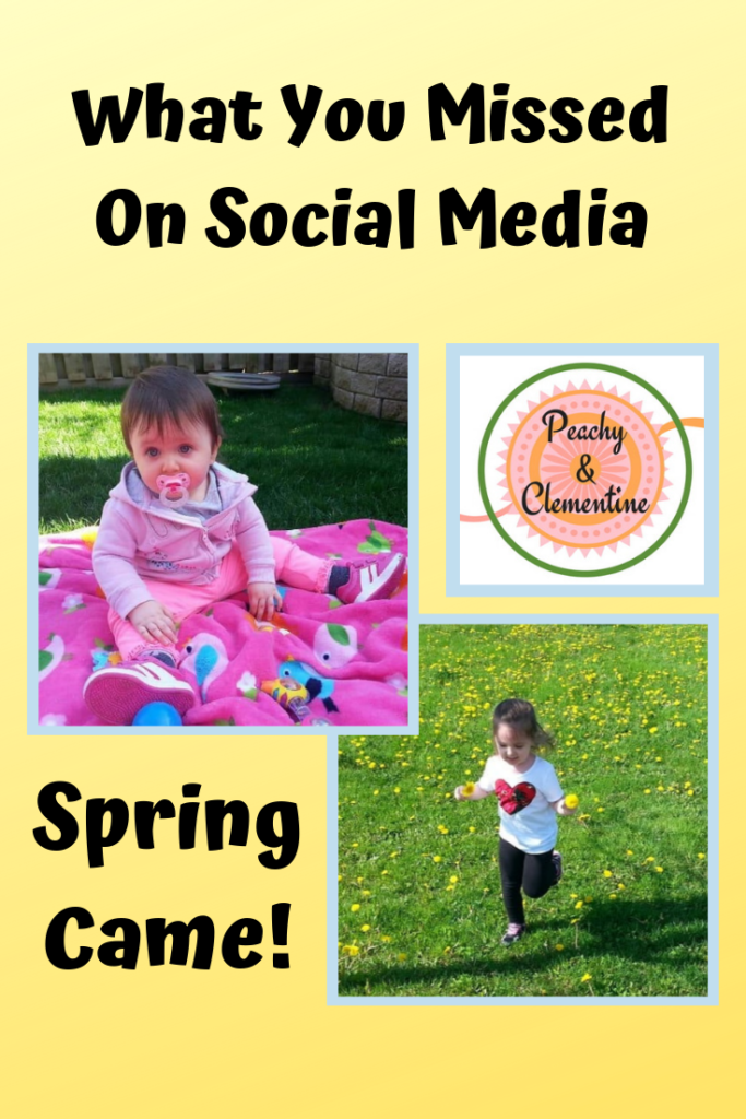 Social Media Review Spring 2019