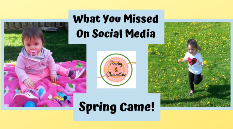 Social Media Review Spring 2019